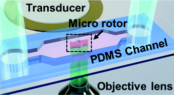 Graphical abstract: Acoustofluidic actuation of in situ fabricated microrotors