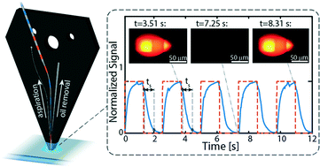 Graphical abstract: Delivery of minimally dispersed liquid interfaces for sequential surface chemistry