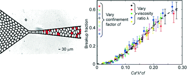 Graphical abstract: Confinement and viscosity ratio effect on droplet break-up in a concentrated emulsion flowing through a narrow constriction