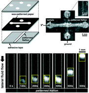 Graphical abstract: Microfluidic paper-based biomolecule preconcentrator based on ion concentration polarization