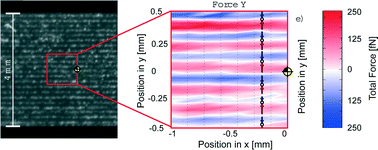 Graphical abstract: Imaging the position-dependent 3D force on microbeads subjected to acoustic radiation forces and streaming