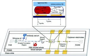 Graphical abstract: Impedimetric detection and lumped element modelling of a hemagglutination assay in microdroplets