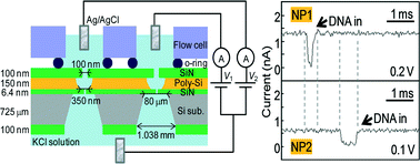 Graphical abstract: Multichannel detection of ionic currents through two nanopores fabricated on integrated Si3N4 membranes