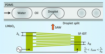 Graphical abstract: On-demand droplet splitting using surface acoustic waves
