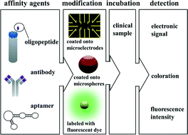 Graphical abstract: Microfluidics in the selection of affinity reagents for the detection of cancer: paving a way towards future diagnostics