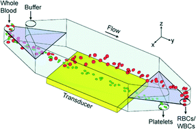 Graphical abstract: High-throughput acoustic separation of platelets from whole blood