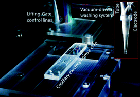 Graphical abstract: A fully automated microfluidic micellar electrokinetic chromatography analyzer for organic compound detection