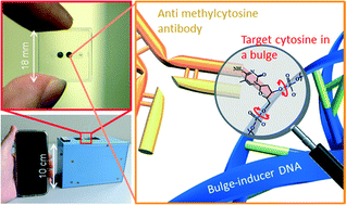 Graphical abstract: Microfluidic platforms for DNA methylation analysis