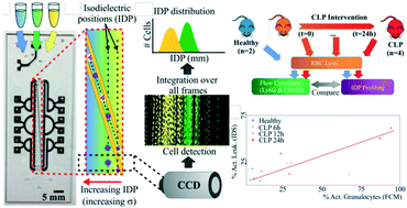 Graphical abstract: Monitoring sepsis using electrical cell profiling