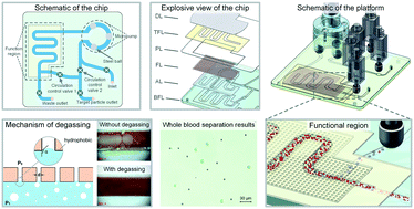 Graphical abstract: A bubble- and clogging-free microfluidic particle separation platform with multi-filtration