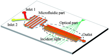 Graphical abstract: Tunable focusing properties using optofluidic Fresnel zone plates