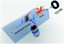 Graphical abstract: Enantioselective reaction monitoring utilizing two-dimensional heart-cut liquid chromatography on an integrated microfluidic chip