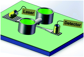 Graphical abstract: Integrative optofluidic microcavity with tubular channels and coupled waveguides via two-photon polymerization