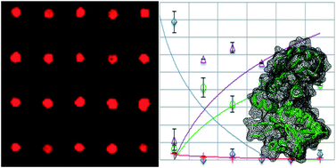 Graphical abstract: On-chip integration of droplet microfluidics and nanostructure-initiator mass spectrometry for enzyme screening