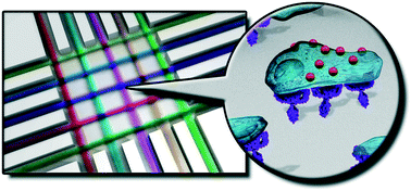 Graphical abstract: Crossed flow microfluidics for high throughput screening of bioactive chemical–cell interactions