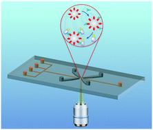 Graphical abstract: Rapid detection of Hendra virus antibodies: an integrated device with nanoparticle assay and chaotic micromixing