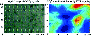 Graphical abstract: Synchrotron FTIR mapping of mineralization in a microfluidic device