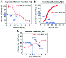 Graphical abstract: Evaluating a novel dimensional reduction approach for mechanical fractionation of cells using a tandem flexible micro spring array (tFMSA)