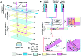 Graphical abstract: A microfluidic perfusion approach for on-chip characterization of the transport properties of human oocytes