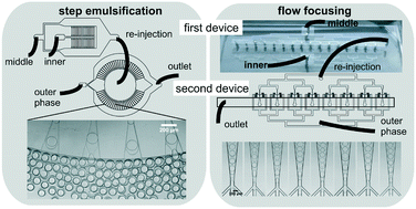 Graphical abstract: Tandem emulsification for high-throughput production of double emulsions