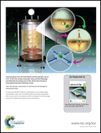 Graphical abstract: Back cover