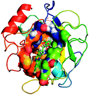 Graphical abstract: Identification of novel selective MMP-9 inhibitors as potential anti-metastatic lead using structure-based hierarchical virtual screening and molecular dynamics simulation