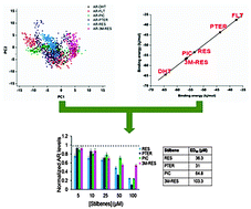 Graphical abstract: Molecular insight into the differential anti-androgenic activity of resveratrol and its natural analogs: in silico approach to understand biological actions