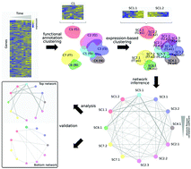 Graphical abstract: Revealing complex function, process and pathway interactions with high-throughput expression and biological annotation data