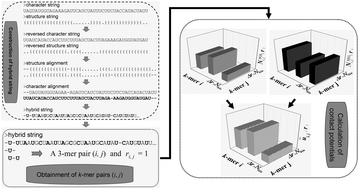 Graphical abstract: plantMirP: an efficient computational program for the prediction of plant pre-miRNA by incorporating knowledge-based energy features