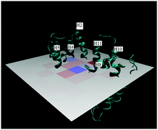 Graphical abstract: Substrate transport pathway inside outward open conformation of EmrD: a molecular dynamics simulation study