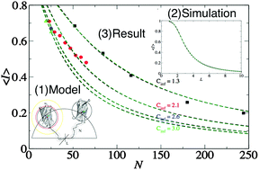 Graphical abstract: How flexible is a protein: simple estimates using FRET microscopy