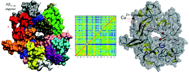 Graphical abstract: Probing oligomerization of amyloid beta peptide in silico