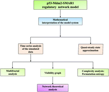 Graphical abstract: Control of apoptosis by SMAR1