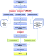 Graphical abstract: A systematic reconstruction and constraint-based analysis of Leishmania donovani metabolic network: identification of potential antileishmanial drug targets