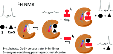 Graphical abstract: Development and application of ligand-based NMR screening assays for γ-butyrobetaine hydroxylase