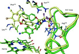 Graphical abstract: Discovery of a novel binding pocket for CYP 2C9 inhibitors: crystallography, pharmacophore modelling and inhibitor SAR