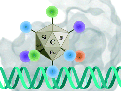 Graphical abstract: Expanding the chemical space of hydrophobic pharmacophores: the role of hydrophobic substructures in the development of novel transcription modulators