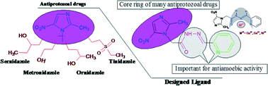 Graphical abstract: New transition metal complexes containing imidazole rings endowed with potential antiamoebic activity