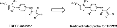 Graphical abstract: Synthesis of radioiodinated probes to evaluate the biodistribution of a potent TRPC3 inhibitor