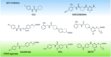 Graphical abstract: Design and synthesis of fused soluble epoxide hydrolase/peroxisome proliferator-activated receptor modulators