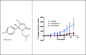 Graphical abstract: Cholecystokinin-1 receptor antagonists: 5-hydroxy-5-aryl-pyrrol-2-ones as anticancer agents