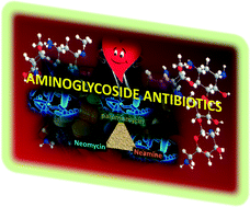 Graphical abstract: Structural modifications of the neomycin class of aminoglycosides