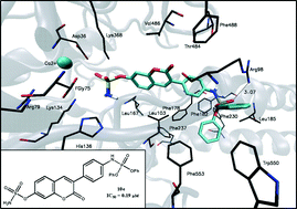 Graphical abstract: Synthesis and steroid sulfatase inhibitory activities of N-phosphorylated 3-(4-aminophenyl)-coumarin-7-O-sulfamates