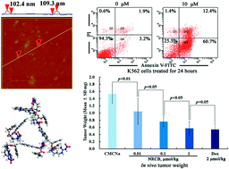 Graphical abstract: Design, synthesis, and in vivo evaluations of benzyl Nω-nitro-Nα-(9H-pyrido[3,4-b]indole-3-carbonyl)-l-argininate as an apoptosis inducer capable of decreasing the serum concentration of P-selectin