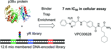 Graphical abstract: Novel p38α MAP kinase inhibitors identified from yoctoReactor DNA-encoded small molecule library