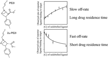 Graphical abstract: Differentiating between drugs with short and long residence times