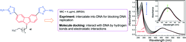 Graphical abstract: Design, synthesis, and biological evaluation of novel carbazole aminothiazoles as potential DNA-targeting antimicrobial agents