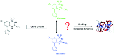 Graphical abstract: An unexpected reversal in the pharmacological stereoselectivity of benzothiadiazine AMPA positive allosteric modulators