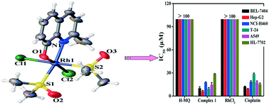 Graphical abstract: Synthesis, crystal structure, cytotoxicity and action mechanism of a Rh(iii) complex with 8-hydroxy-2-methylquinoline as a ligand