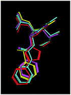 Graphical abstract: Exploring inhibitor structural features required to engage the 216-loop of human parainfluenza virus type-3 hemagglutinin-neuraminidase